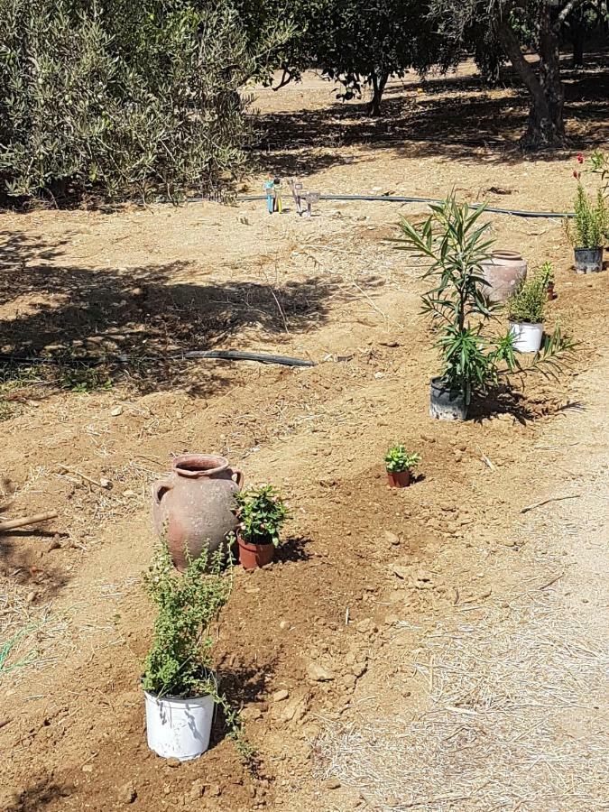 Apartamento Naxos Garden Naxos City Exterior foto